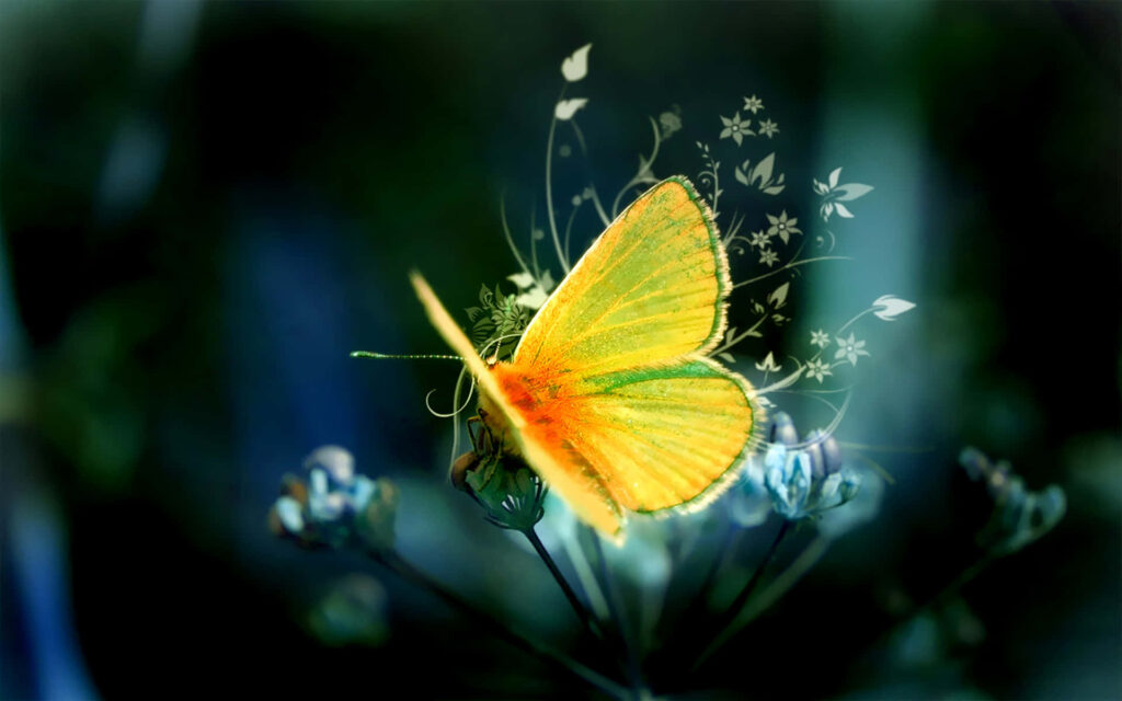 Enchanting Yellow Butterfly Wallpaper with Floral Designs