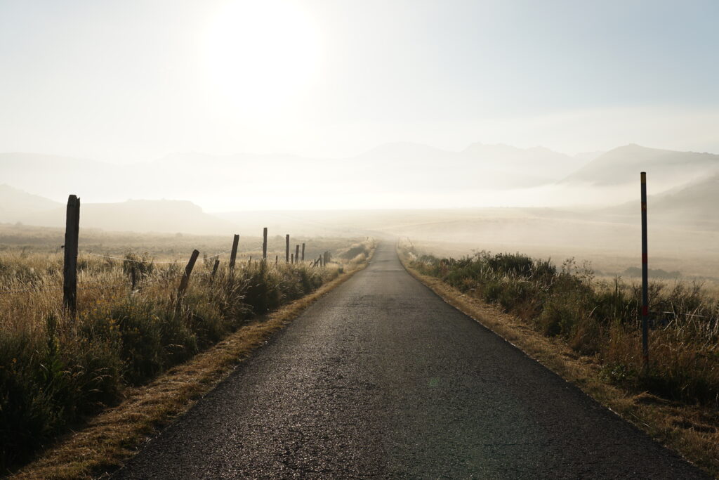 Empty road through sunlit grassy fields and rustic fences under bright sun and desert fog wallpaper