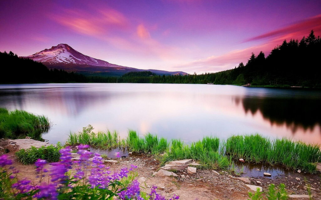 Twilight's Tranquil Serenity: A Majestic Mountain, Serene Waters, and Vibrant Wildflowers Wallpaper