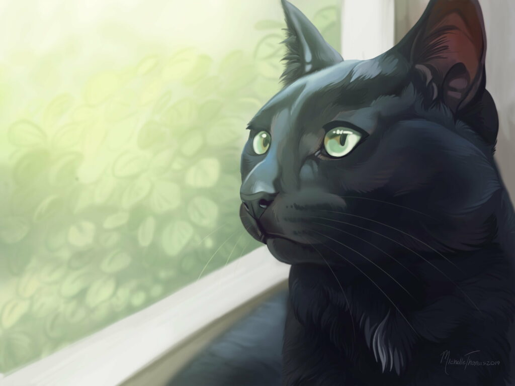 Mysterious Feline Peeping through the Artistic Window: Captivating Black Cat HD Wallpaper Background Photo