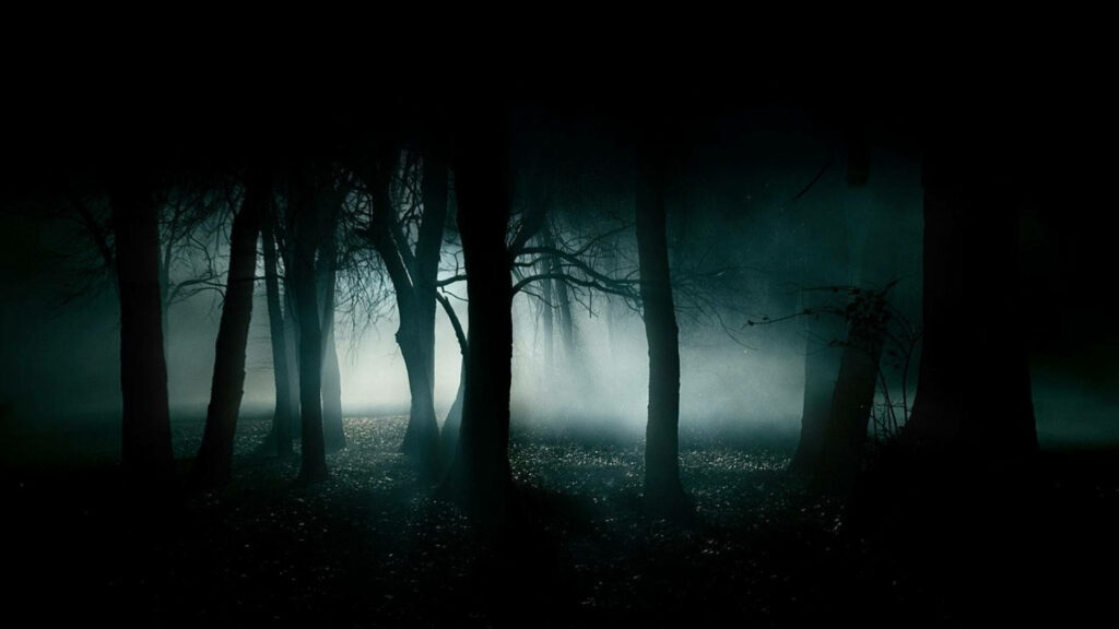 The Enigmatic Glow: Unsettling Visions from a Haunted Forest Wallpaper