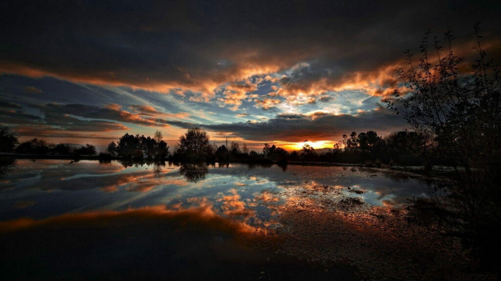 Enigmatic Beauty: Captivating Dark Nature - HD Wallpaper with Aesthetic Dark Landscape Background