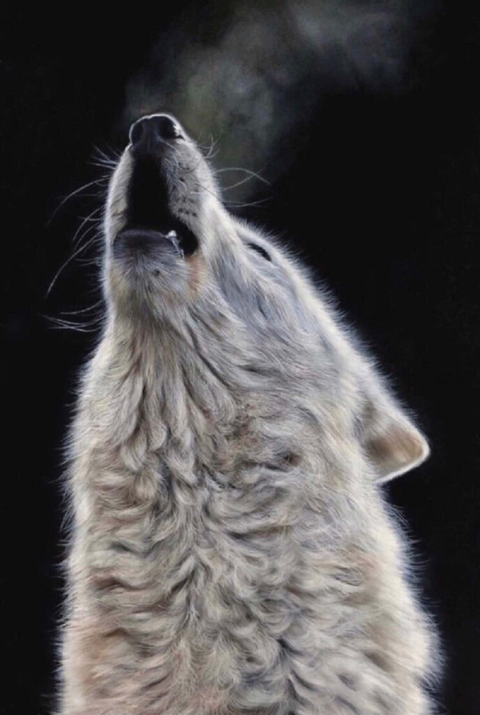 Moonlit Wolf Howling Wallpaper: Enigmatic Nighttime Scene