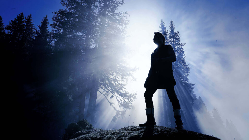 Mystical Forest Ambiance: Captivating Shadow Inhabits Lush Coniferous Realm - Final Fantasy XV Screenshot Wallpaper
