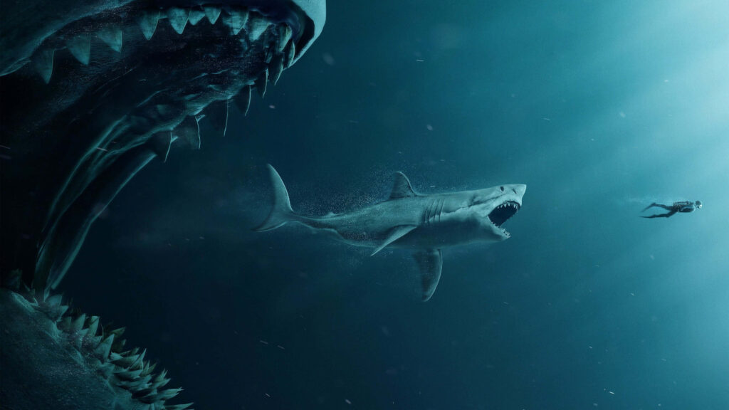 Intense Underwater Scene: Giant Shark Hunts Smaller Shark - Wallpaper