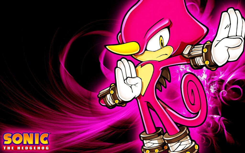 Espio the Chameleon martial arts pose with pink purple energy Sonic the Hedgehog wallpaper background