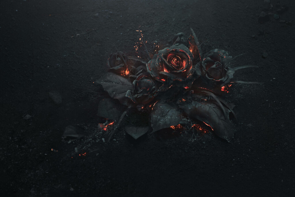 Ethereal Beauty: Captivating HD Flower in Mesmerizing Darkness Wallpaper