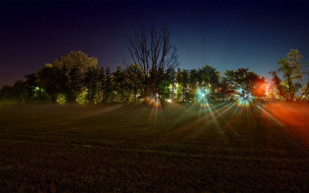 Tranquil dawn landscape with sunbeams through trees and colorful light patches on grassy field Wallpaper