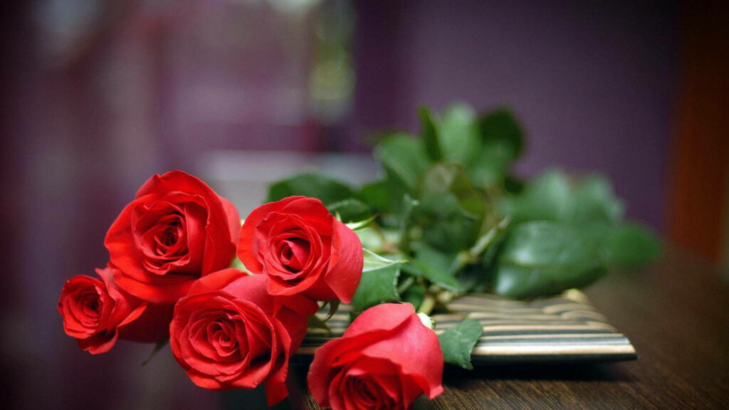 Enchanting Bouquet: Vibrant Red Rose Stems Amidst Ethereal Purple Hues - HD Floral Wallpaper