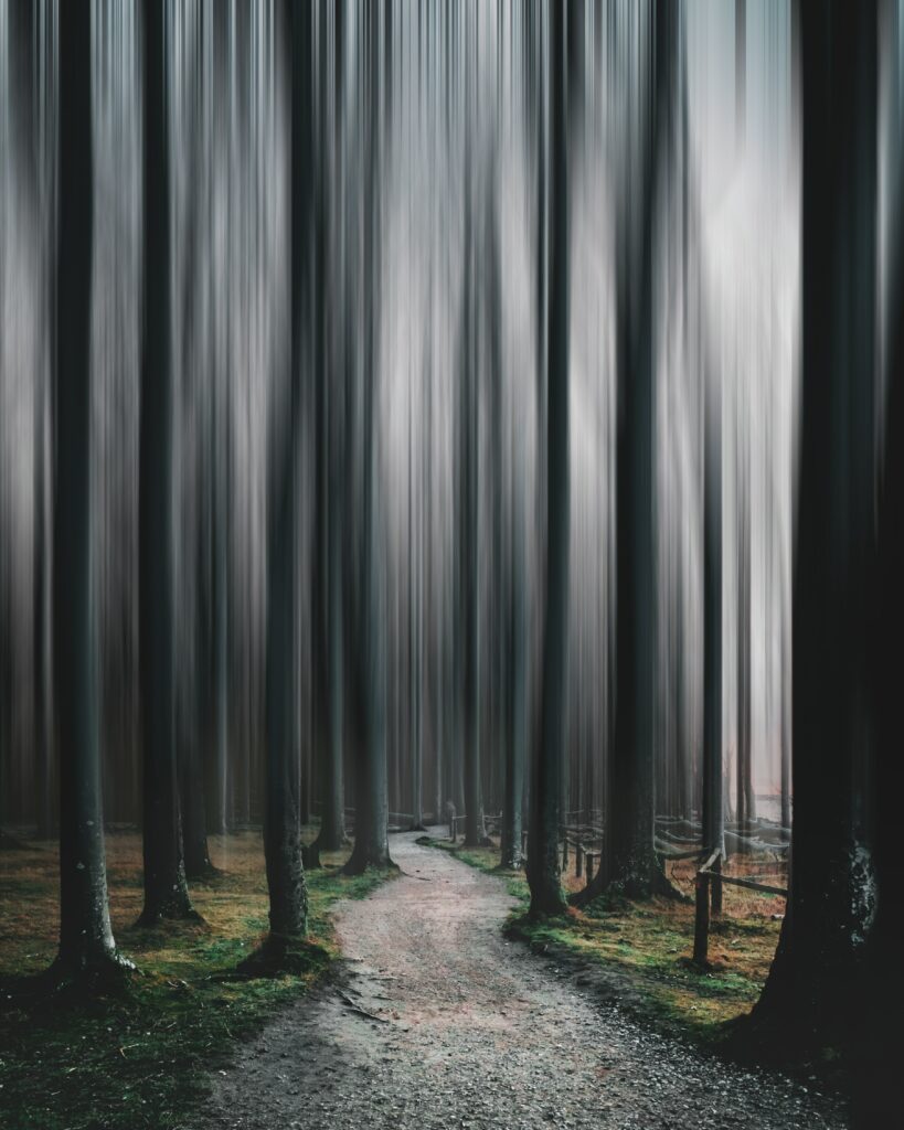 Winding forest path with tall blurred trees creating an ethereal mysterious dreamlike atmosphere Wallpaper