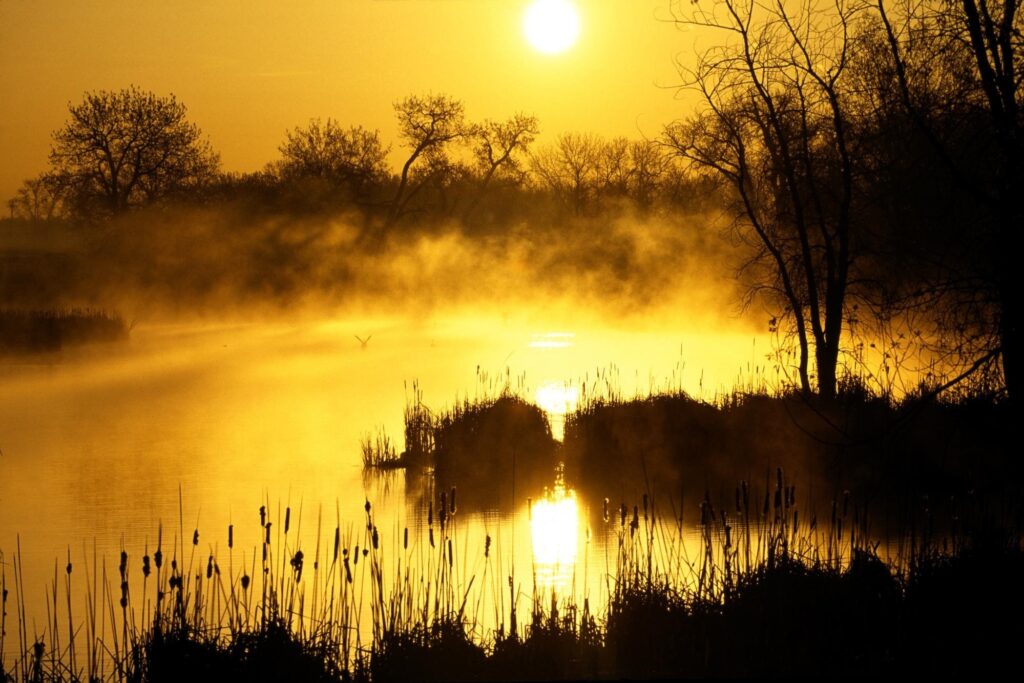 Ethereal orange sunrise with misty fog over reflective pond and silhouetted trees wallpaper background