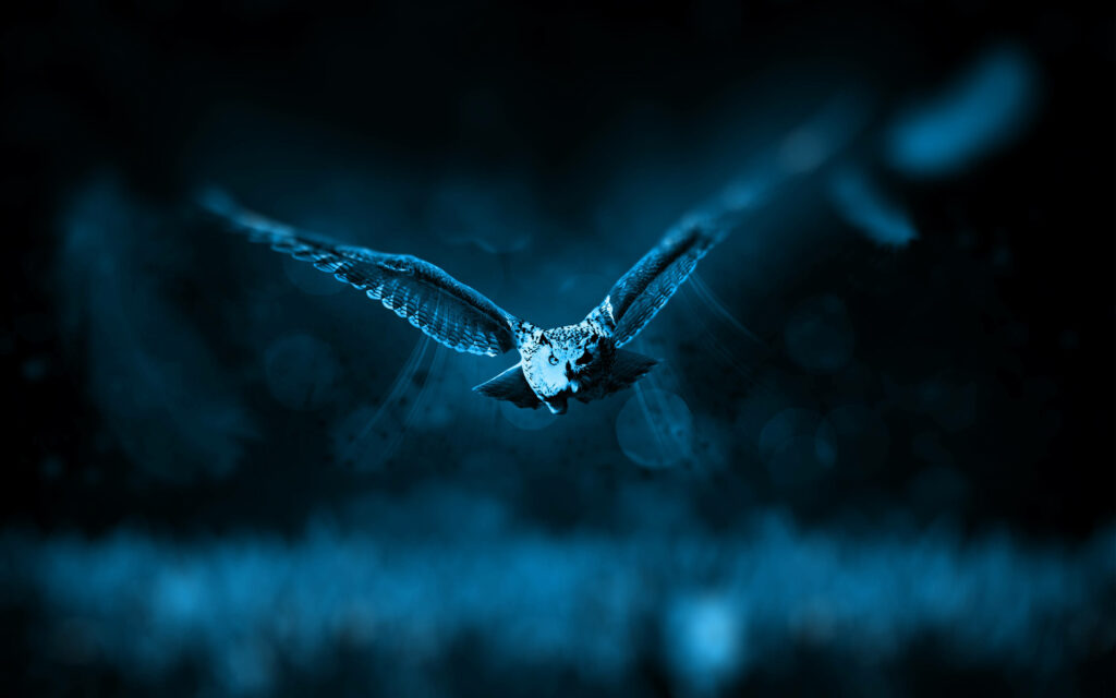 Striking Owl in Flight: Moody Dark Wallpaper with Ethereal Blue