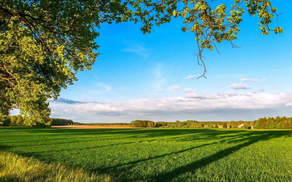 Vibrant Spring Landscapes: A Captivating Farm Scene in HD Wallpaper
