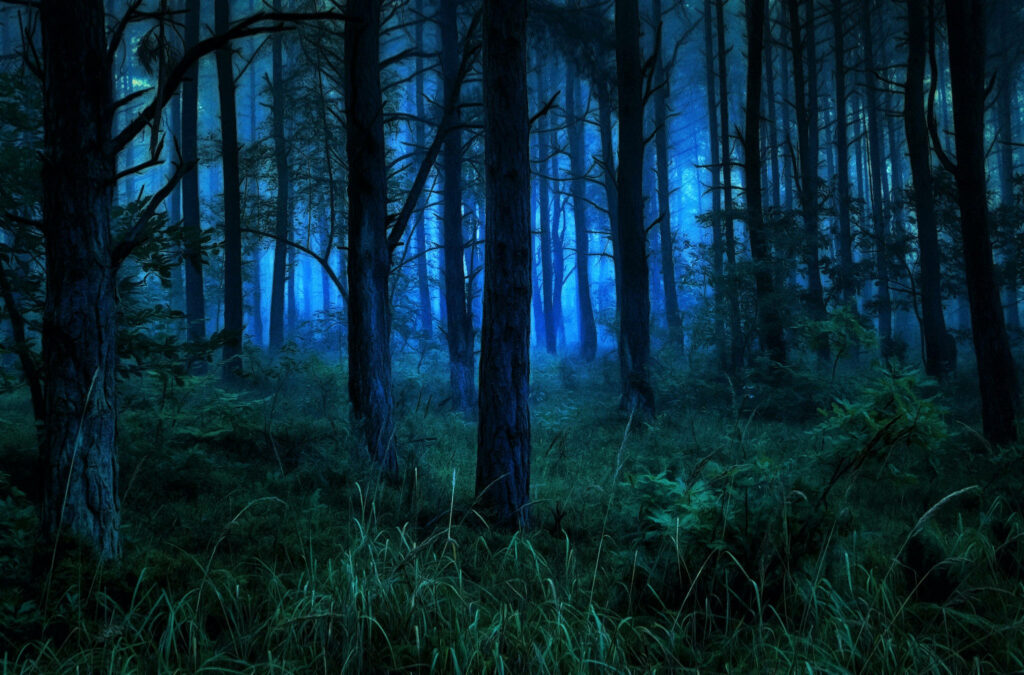 Enchanting Twilight: Captivating Dark Forest iPhone Background Wallpaper