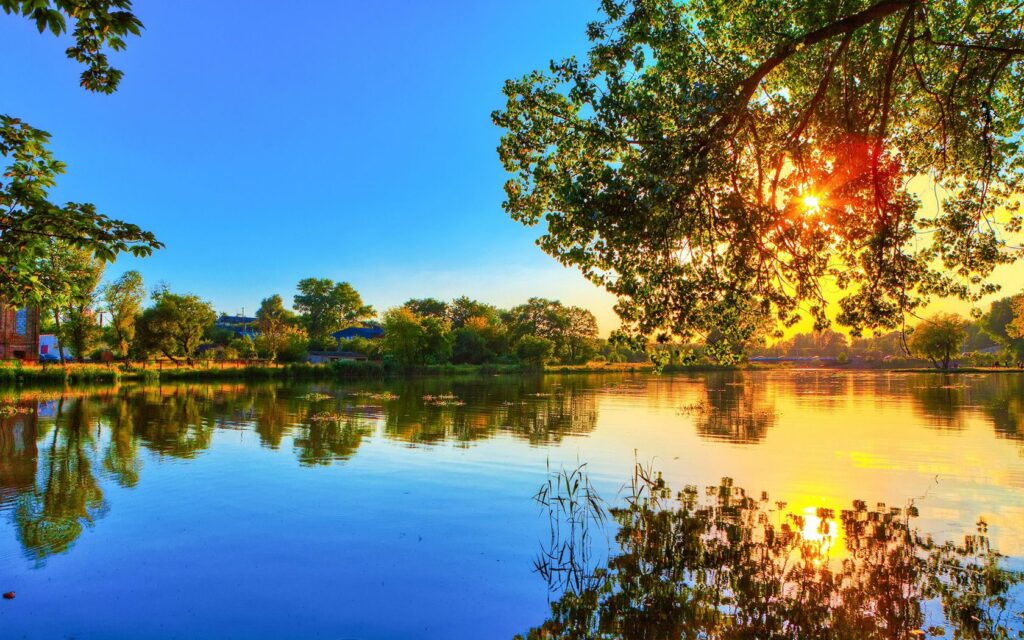 Evening river scene with lush trees golden sunlight reflecting on calm water vibrant wallpaper background