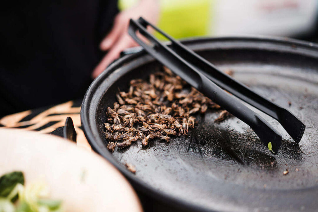 Exotic Beetles on Skillet: Unique Culinary Wallpaper Background