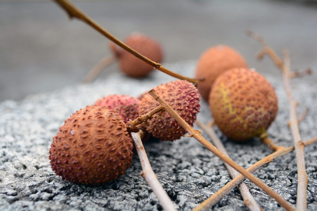 Exotic Lychee Fruits Wallpaper - Fresh and Natural Background