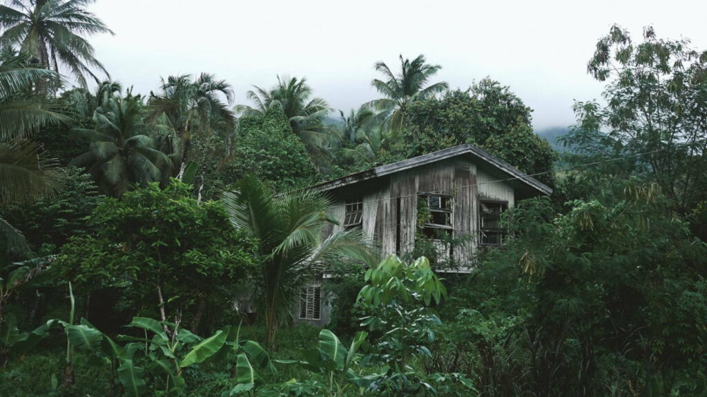 Exotic Oasis: A Captivating Escapade of Architectural Brilliance Amidst Lush Jungle Serenity – HD Wallpaper Background