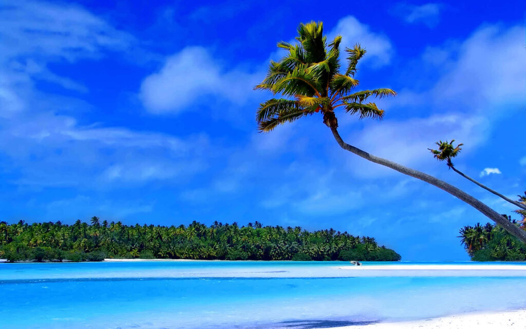 Tranquil Caribbean Beach Wallpaper: Clear Waters & Sunny Skies