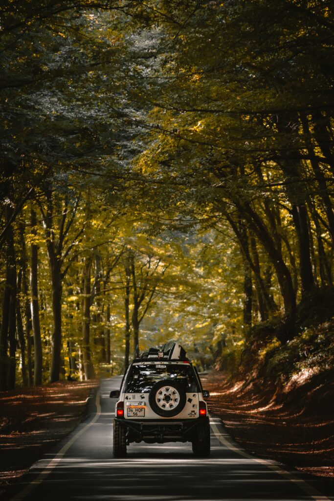 Adventure Awaits: Rugged SUV on Winding Forest Road - High-Res Wallpaper