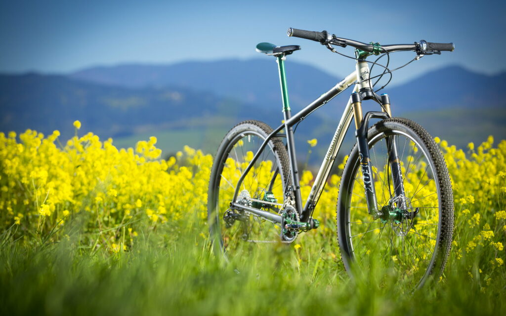 Serene Forest Ride: Tannenwald's Enchanting Edition MTB Adventure Wallpaper