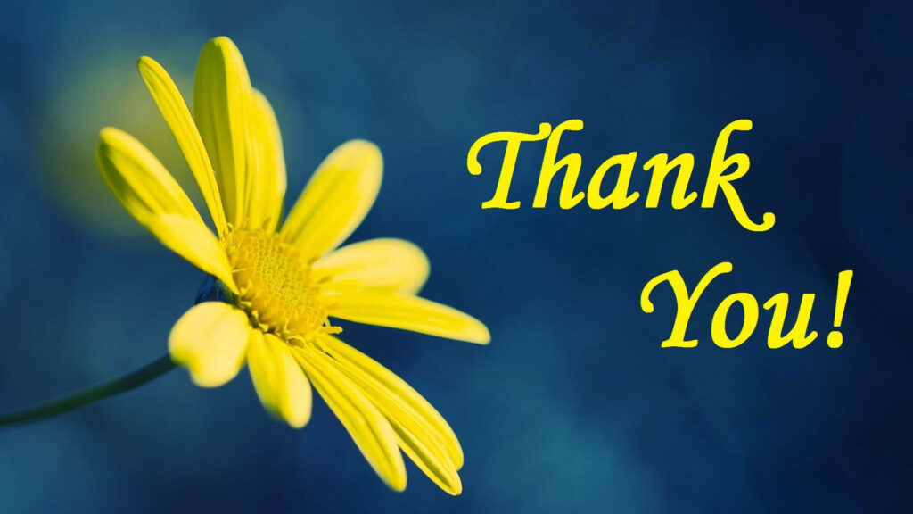 Yellow Blooms of Gratitude: A Thank You Greeting Wallpaper