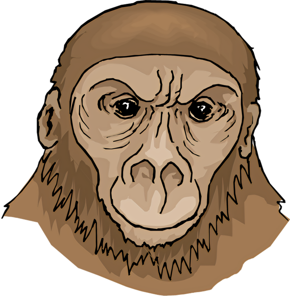 Expressive Orangutan Face Wallpaper - Nature's Gentle Giant