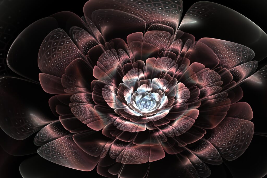 Exquisite Abstract Flower Wallpaper: Translucent Petals & Dark Background