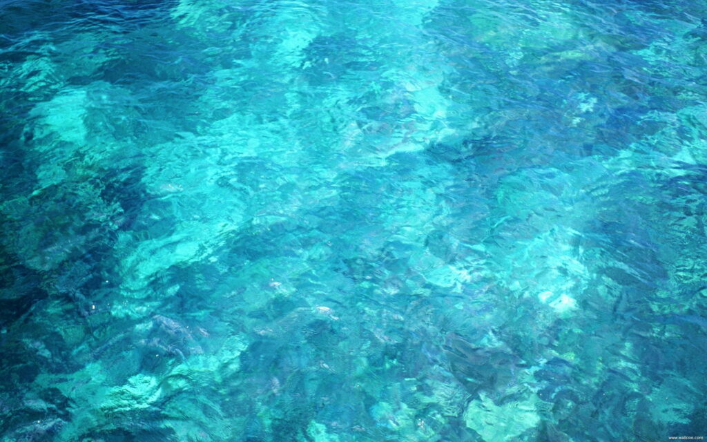 Tropical Paradise: Bali's Pristine Waters in HD Wallpaper