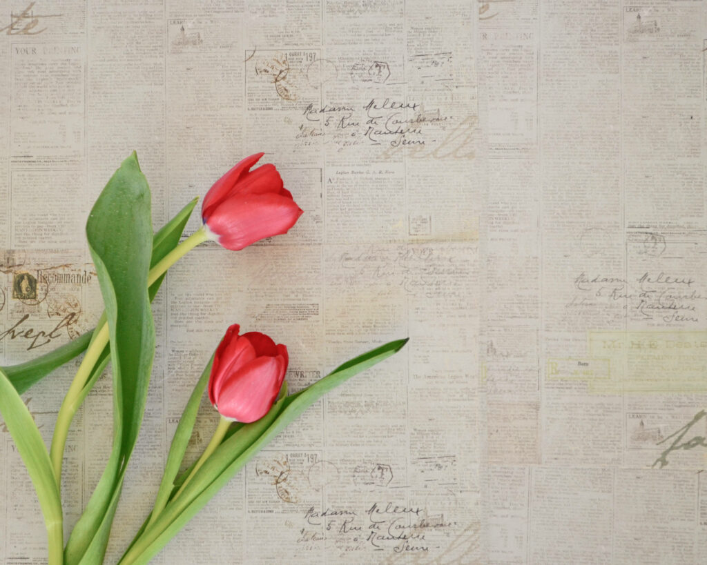Elegant 'Darwin Hybrid' Tulips Gracefully Adorn Weathered Paper Wallpaper
