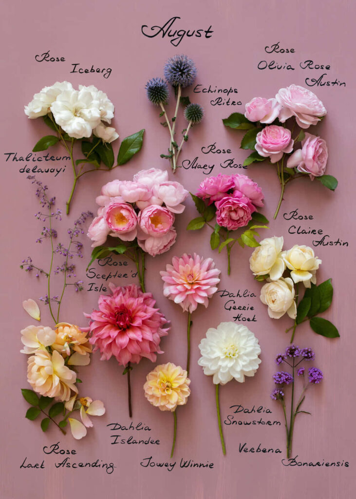 Elegant Floral Wallpaper: Captivating August Blooms & Names