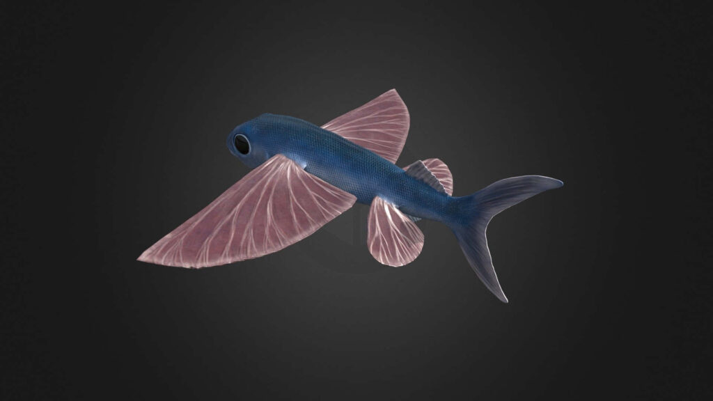 Elegant Flying Fish Wallpaper: Exquisite Illustration on Dark Background
