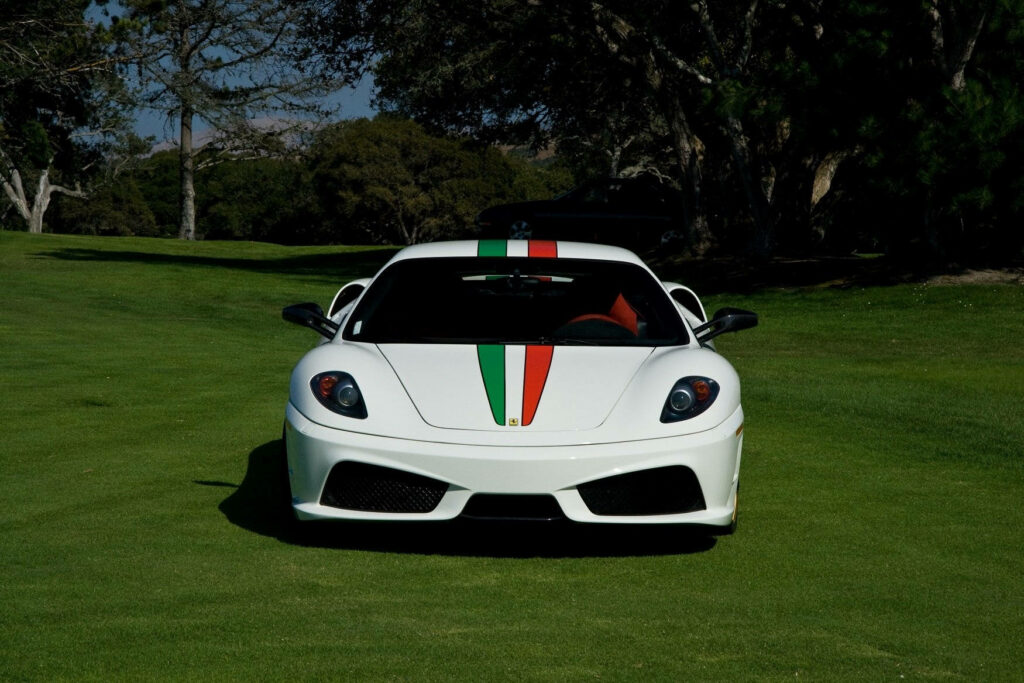 Exquisite Italian Stallion Displayed Gracefully amidst Serene Natural Surroundings Wallpaper