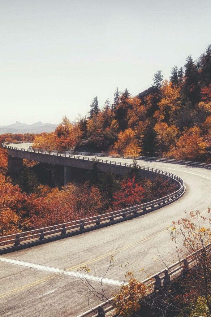 Fall Foliage on Long Bridge: A Stunning iPhone Wallpaper for Nature Lovers