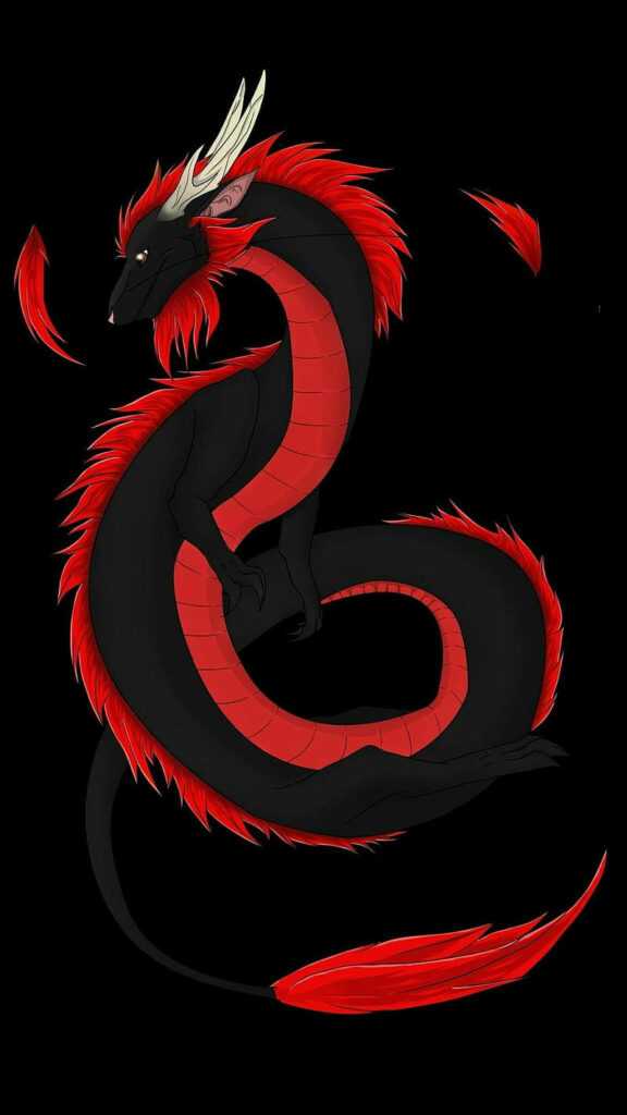 Fierce Fantasy: Captivating Red and Black Dragon Shrouded in Darkness Wallpaper