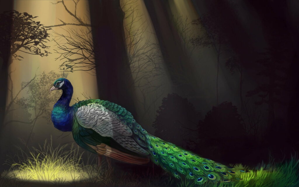 Enigmatic Peacock Majesty amidst the Mystical Forest: A Captivating HD Artwork Wallpaper