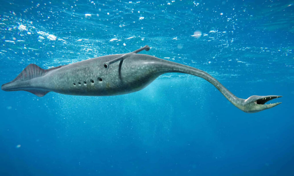 Elegant Marine Creature Wallpaper: Unique Design in Blue Waters
