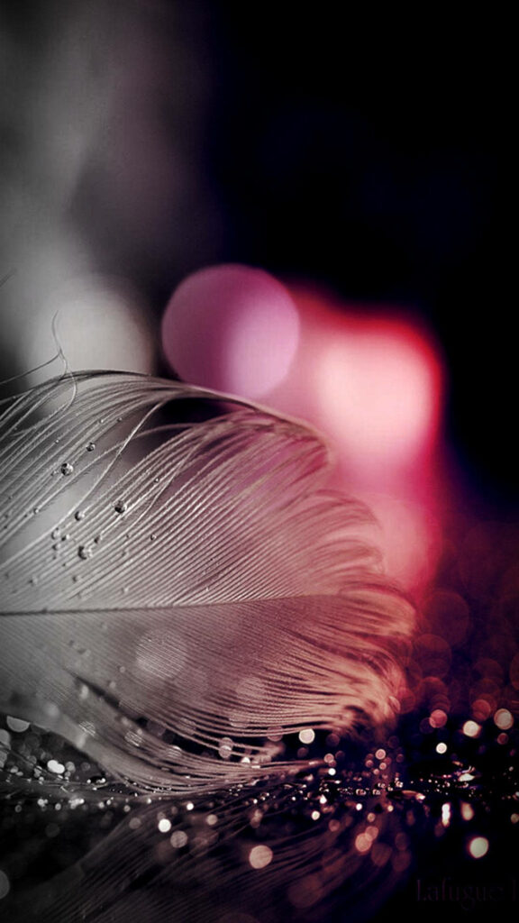 A stunning mobile wallpaper of a wet feather amidst vibrant lights on black background
