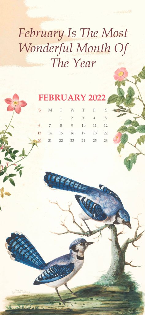 February 2022 calendar wallpaper with watercolor Blue Jays and wild roses on cream background