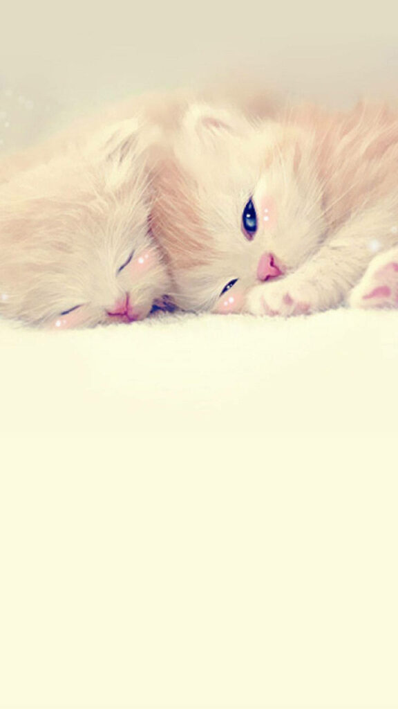 Feline Harmony: Adorable Twin Kittens Relaxing in Perfect Companionship - Captivating Lock Screen Delight Wallpaper