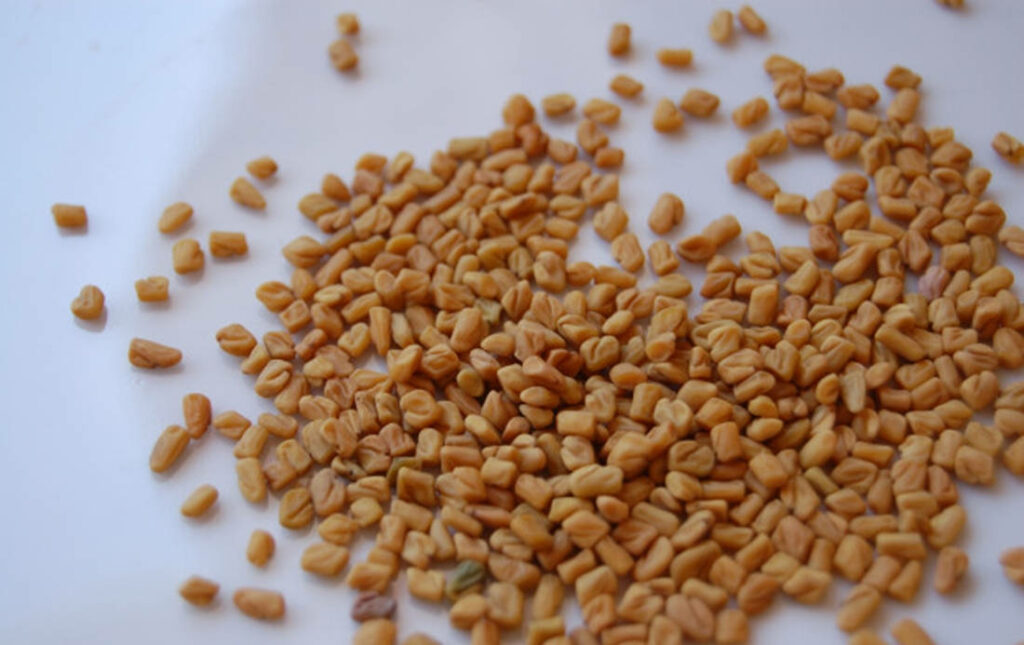 Close-Up Fenugreek Seeds Wallpaper: Yellowish-Brown Texture Background