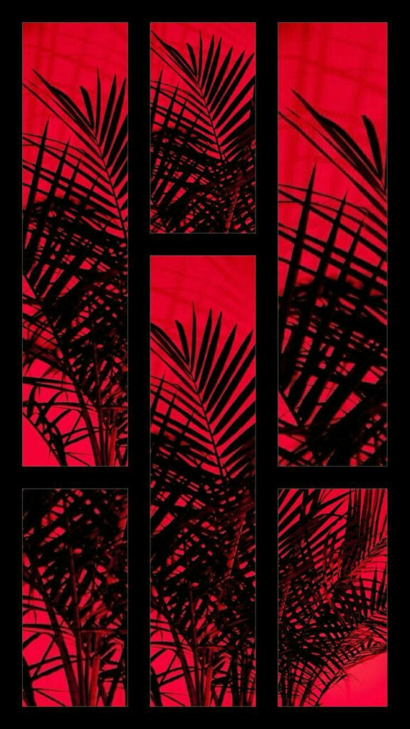 Elegant Silhouettes of Fern Leaves Gracefully Embrace a Vibrant Red Setting - Framed by Bold Black Lines Like Enchanting Window Panes Wallpaper