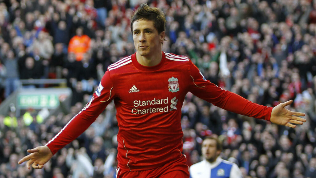 Fernando Torres celebrating on pitch in Liverpool Standard Chartered jersey with cheering crowd Wallpaper
