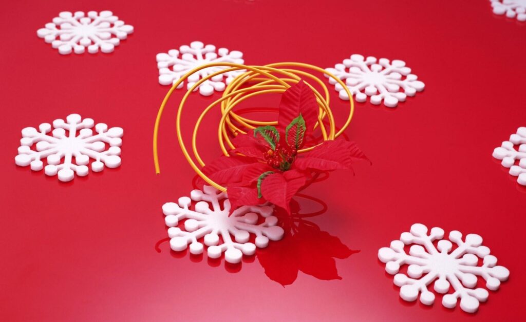 Vibrant 1680x1030 Snowflake & Red Flower Holiday Wallpaper