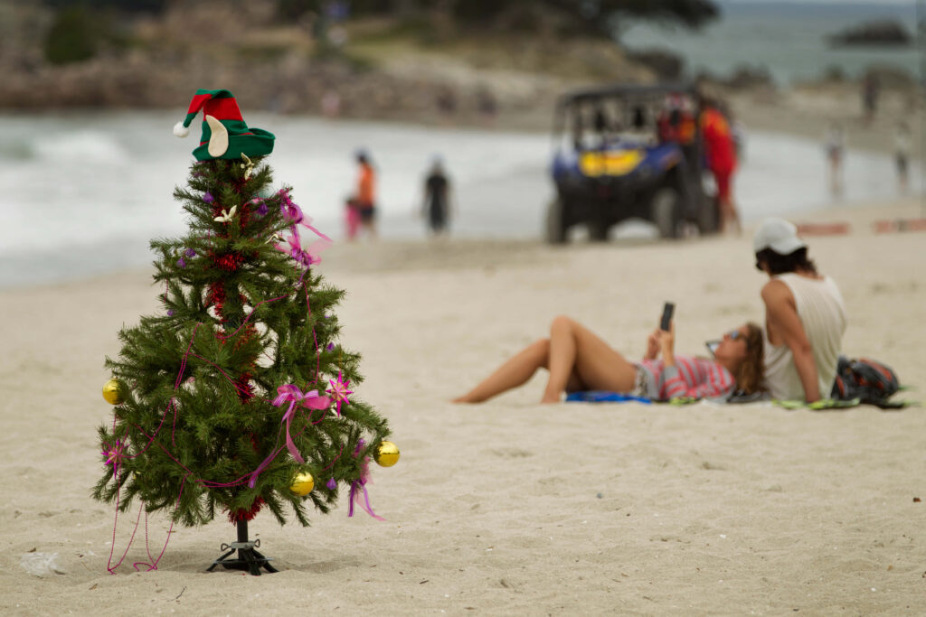 Festive Beach Christmas: Small Tree & Holiday Fun by the Sea Wallpaper