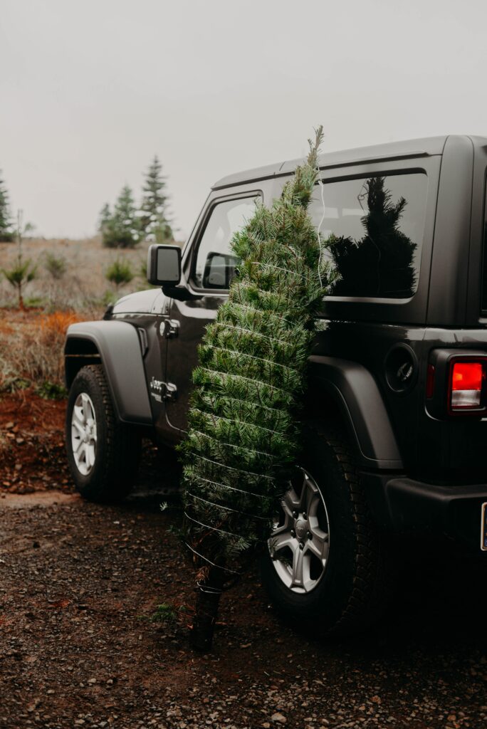 Black SUV with Christmas Tree: Adventure & Festive Spirit Outdoors Wallpaper