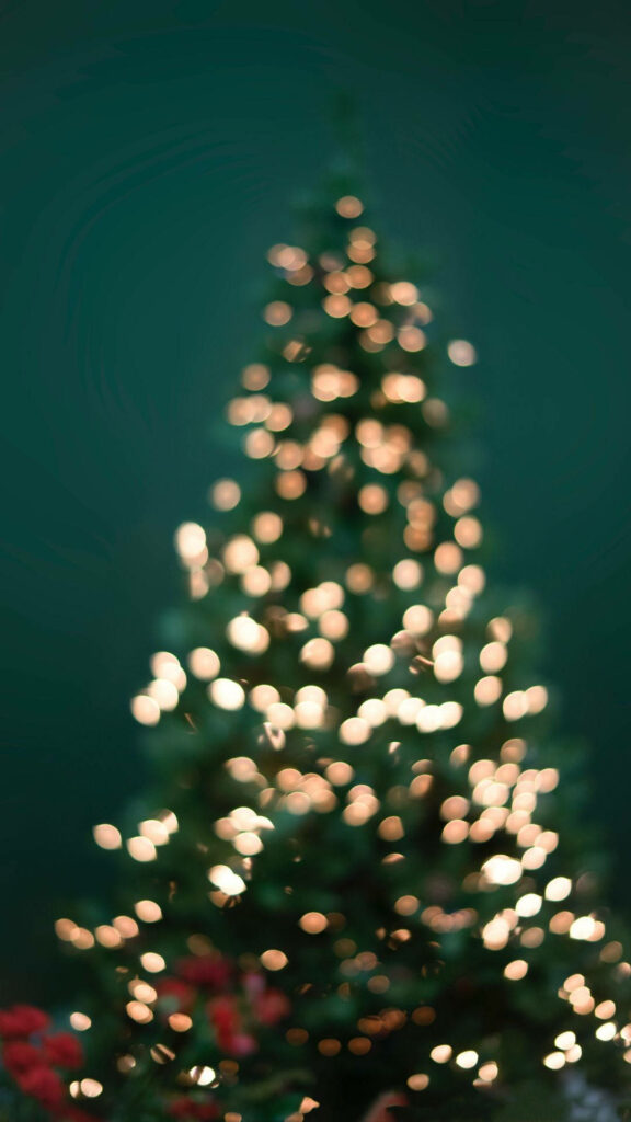 Festive Blurred Christmas Tree Wallpaper on Dark Green Background