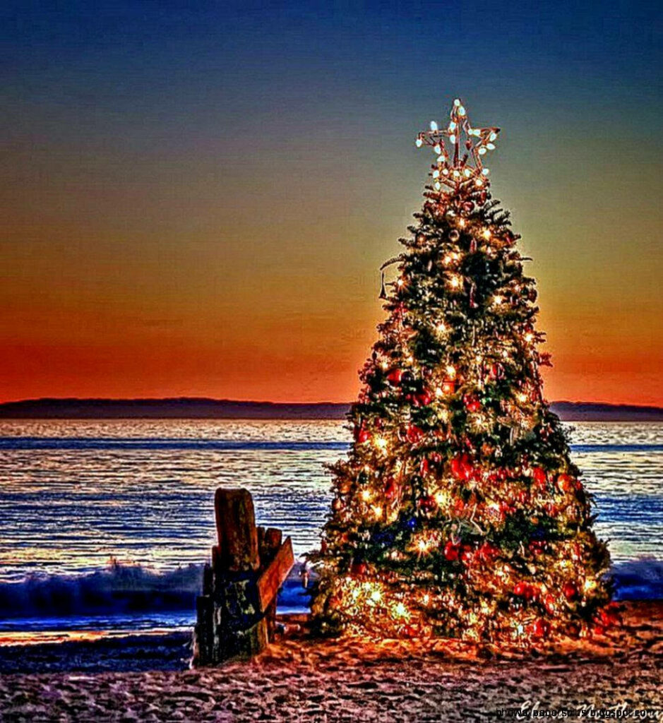 Festive Christmas Tree Wallpaper: Beach Sunset Serenity