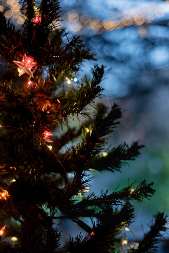 Serene Evening Backdrop: Colorful Lights on a Festive Christmas Tree Wallpaper