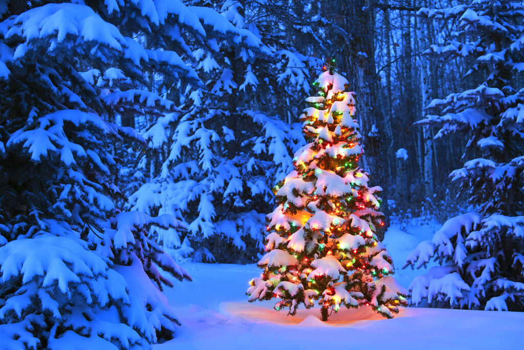 Festive Christmas Tree Wallpaper in Serene Winter Landscape